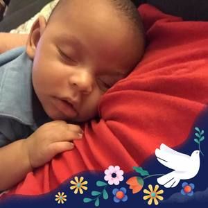 Meet your Posher, Samuel